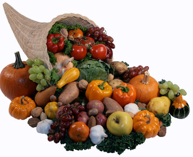 면역력 높이는 방법