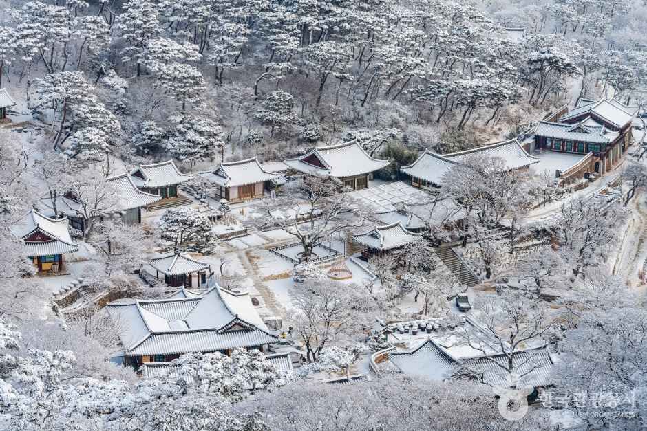 강화도 가볼만한곳 베스트10