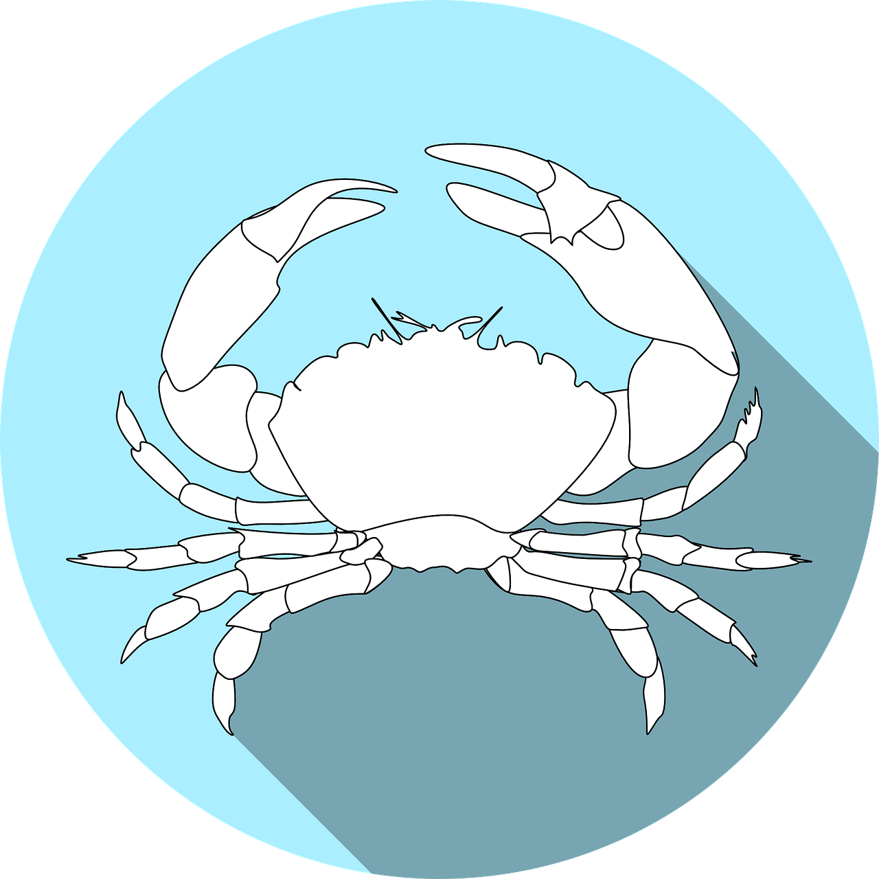 아나필락시스의 원인