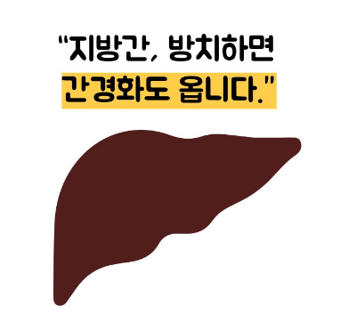 지방간 없애는 방법