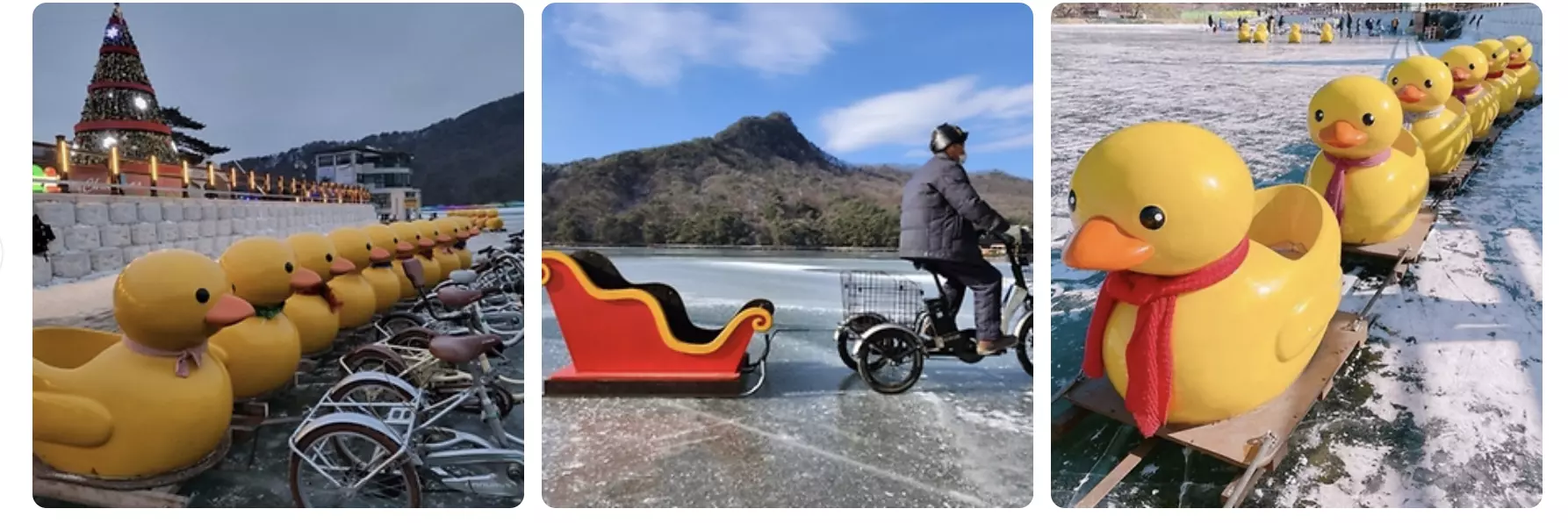 산정 호수 썰매 축제