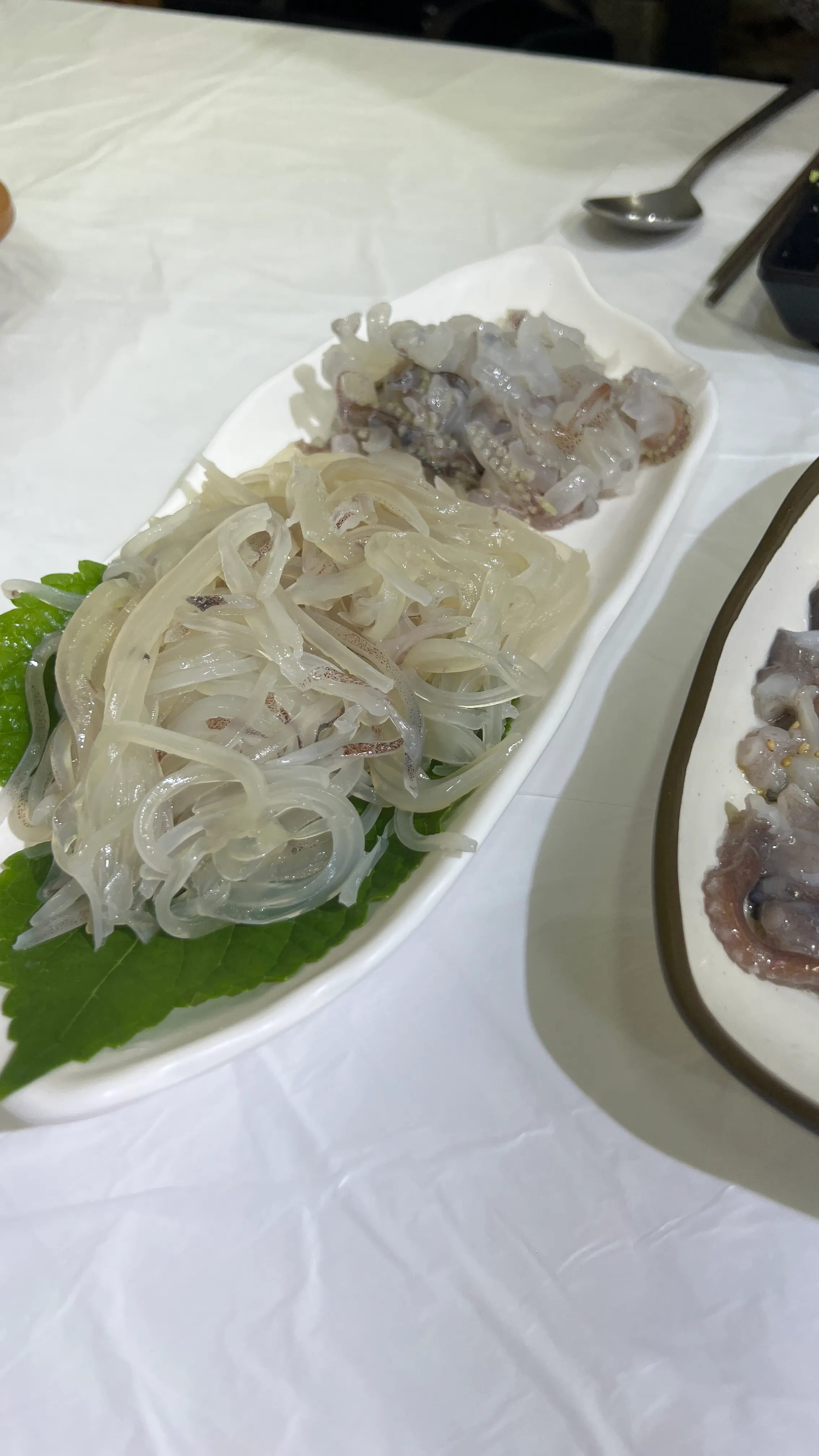 강릉 중앙시장 오징어회 싯가