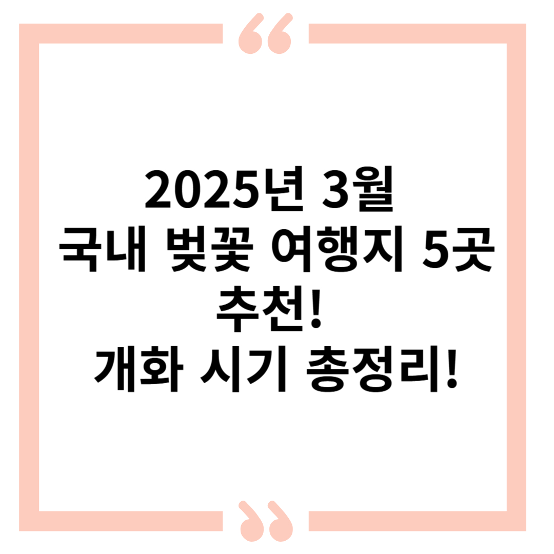 2025년 3.1절 연휴에 떠나는 국내 벚꽃 여행지 5곳! 개화 시기까지 정리