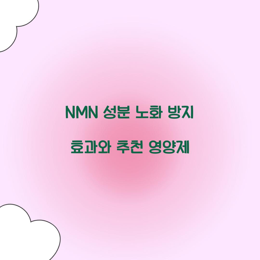 NMN 성분 노화 방지