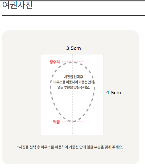 셀프 여권사진 팁