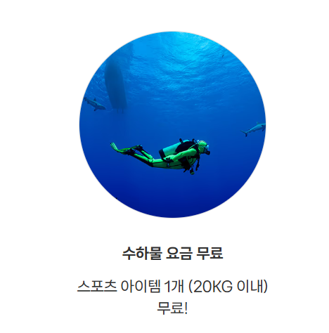 수하물 요금 무료