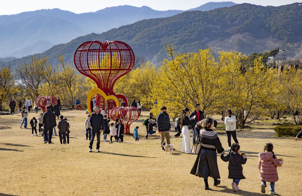 구례산수유축제 일정, 서울에서 당일치기 가능! 2025년