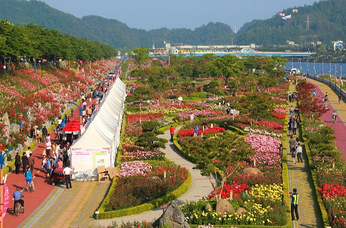 삼척장미공원