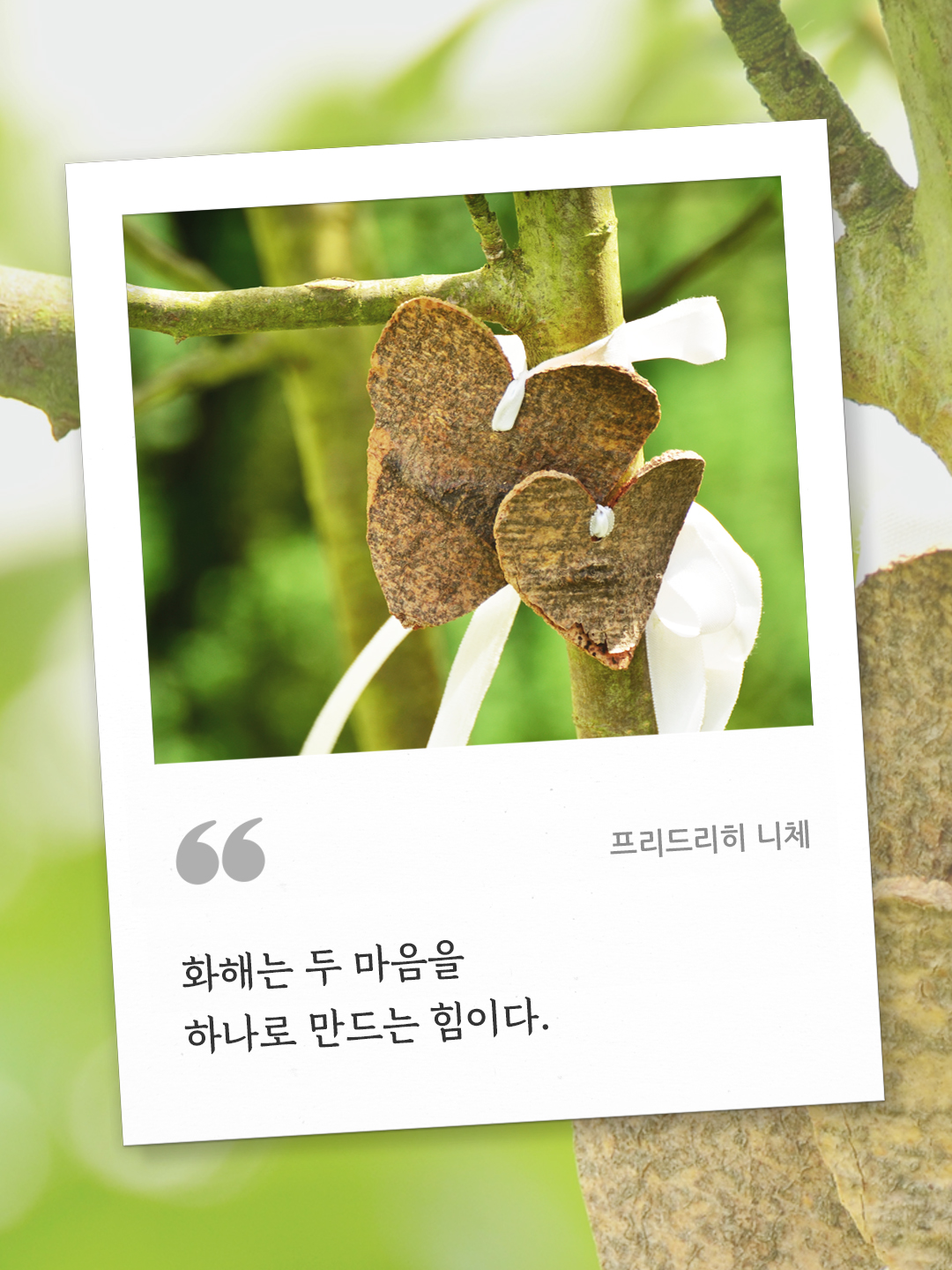 화해는 두 마음을 하나로 만드는 힘이다 (프리드리히 니체) by 피어나네 오늘의 명언 좋은 글귀 이미지 다운로드