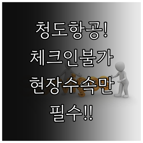 청도항공 온라인 체크인 불가능, 현장..
