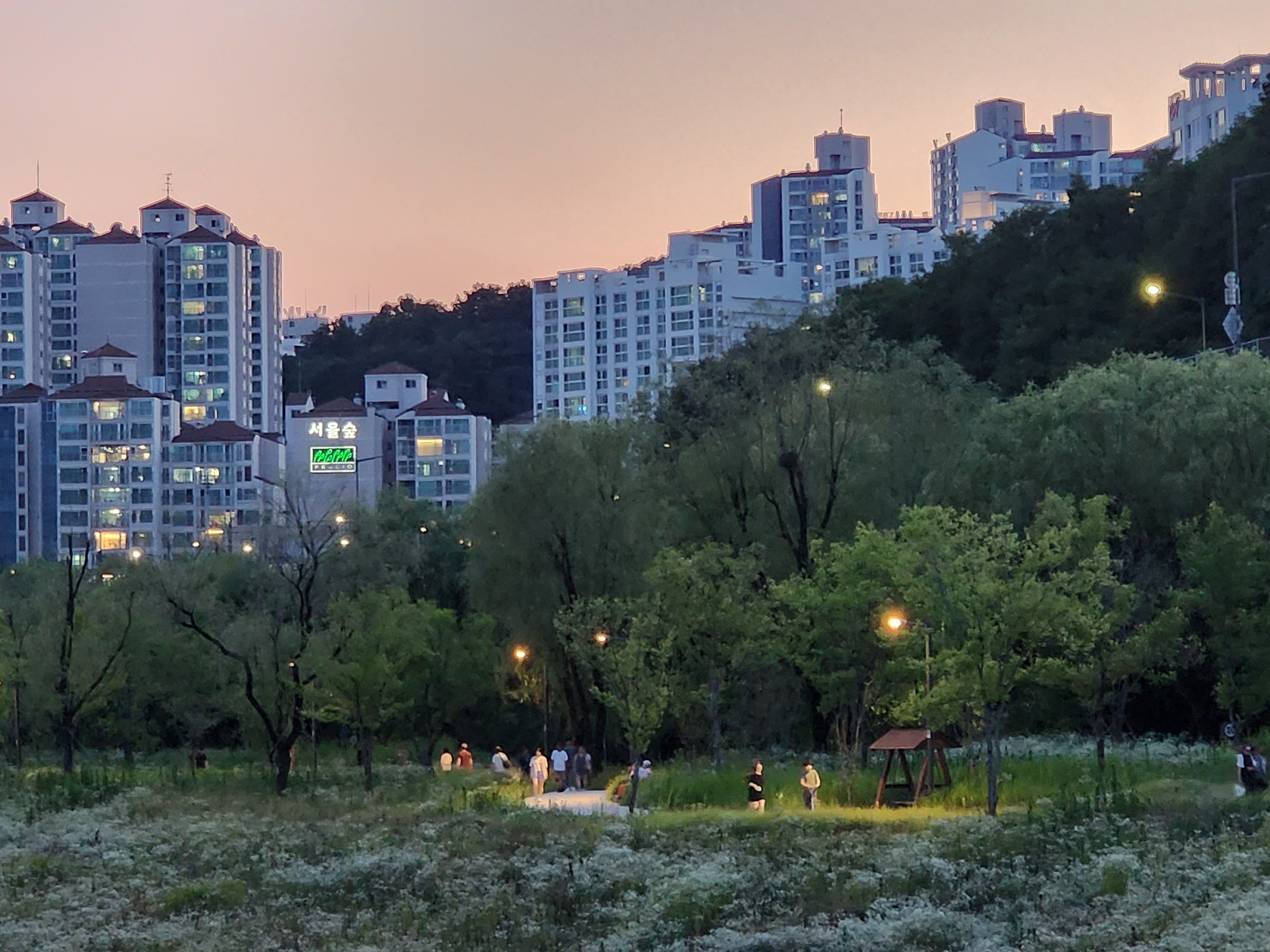 Alt 속성 문제 해결 설명 이미지