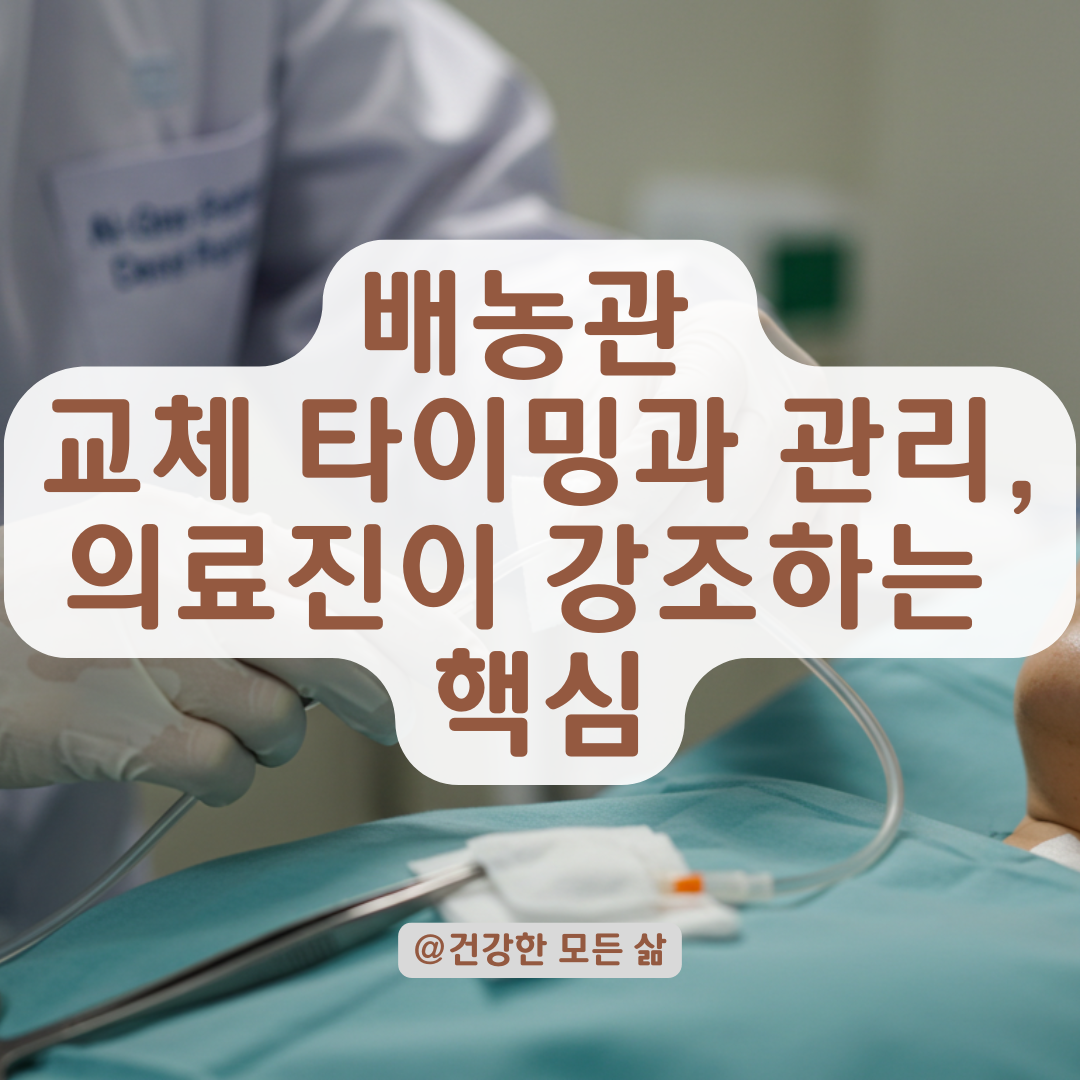 배농관 교체는 통증보다 타이밍이 중요합니다, 의료진이 말하는 핵심 포인트.