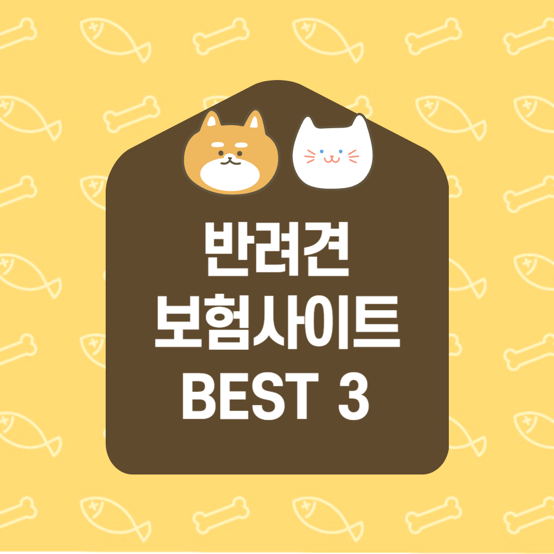 반려견 보험 사이트