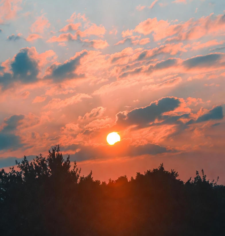 노르웨이 헤링오일 효능 심혈관 기능 개선