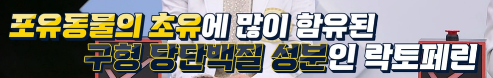 락토페린