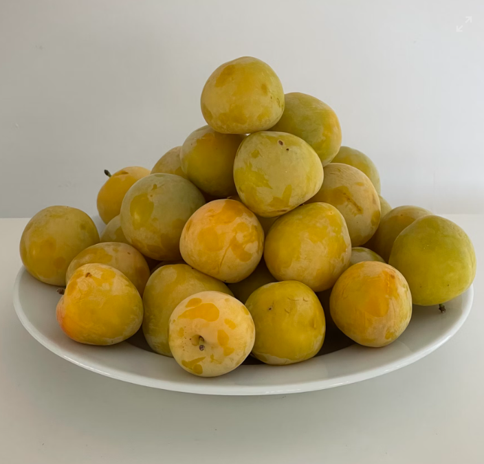 코에 좋은 음식