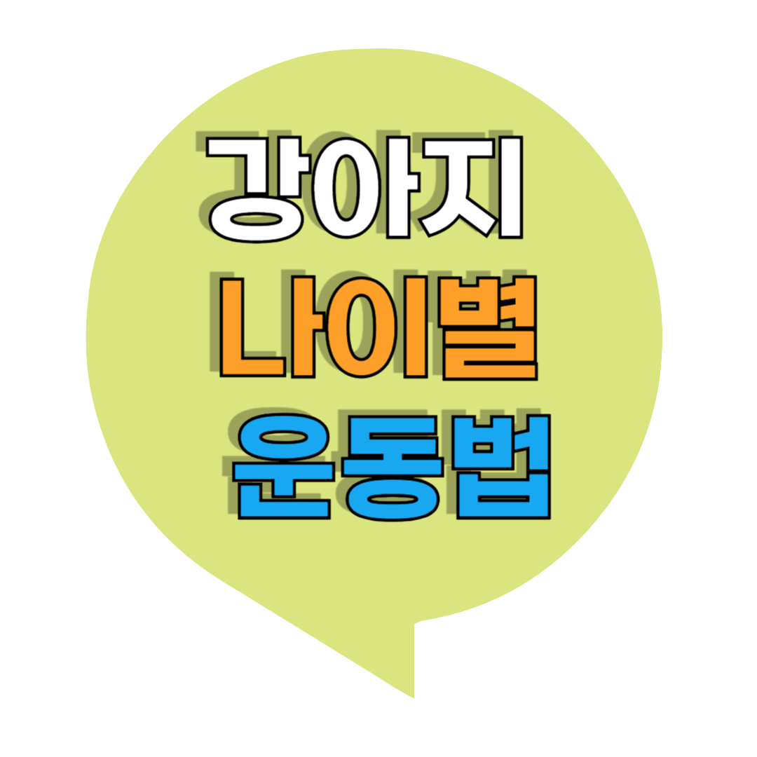 강아지 운동, 나이별 운동법