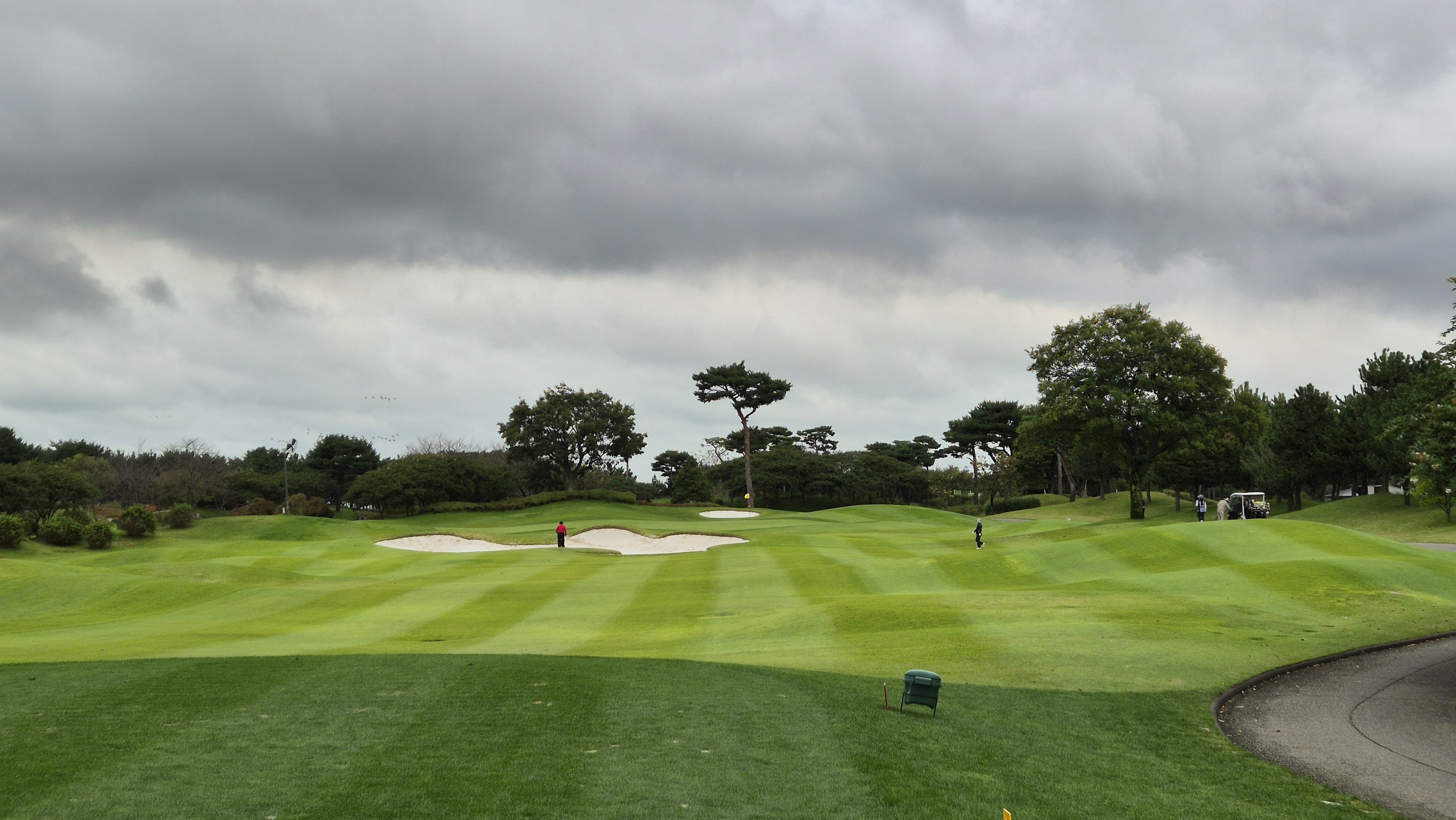 파인스톤cc 파인 코스