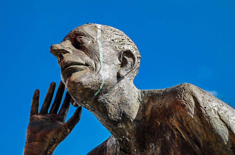 사회과학계열 수능 준비 관련 사진