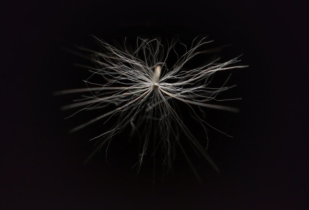 Neuroma