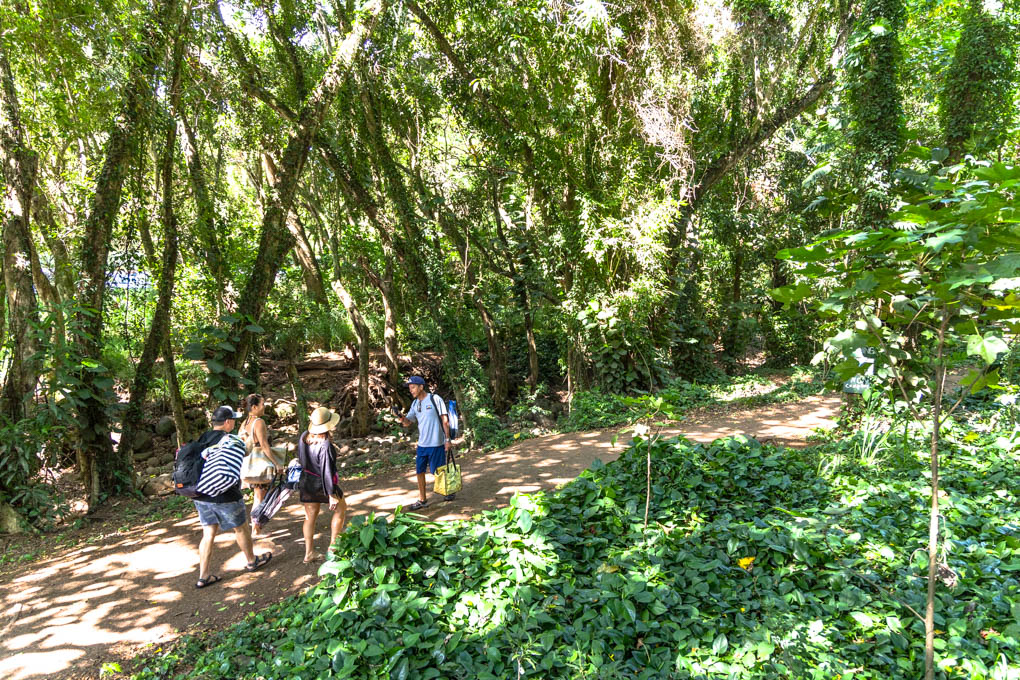 마우이 호놀루아 베이