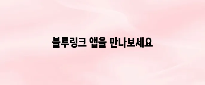 블루링크 앱 다운로드｜가입방법