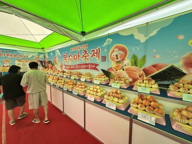 조치원 복숭아 축제 일정 2026|장소·입장료·프로그램