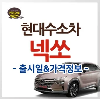 수소 가격 넥소 수소차 충전소 현대 전망 전기차 1kg 가스 자료집_9