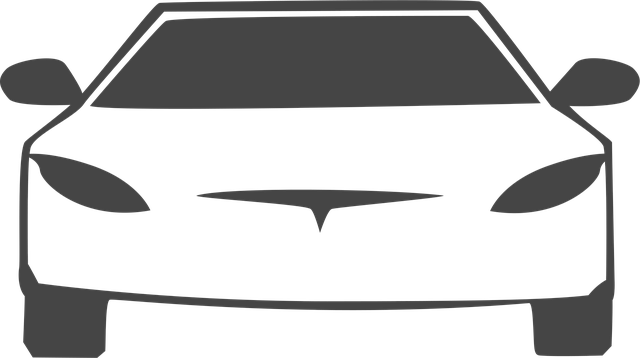 테슬라 차문 결함