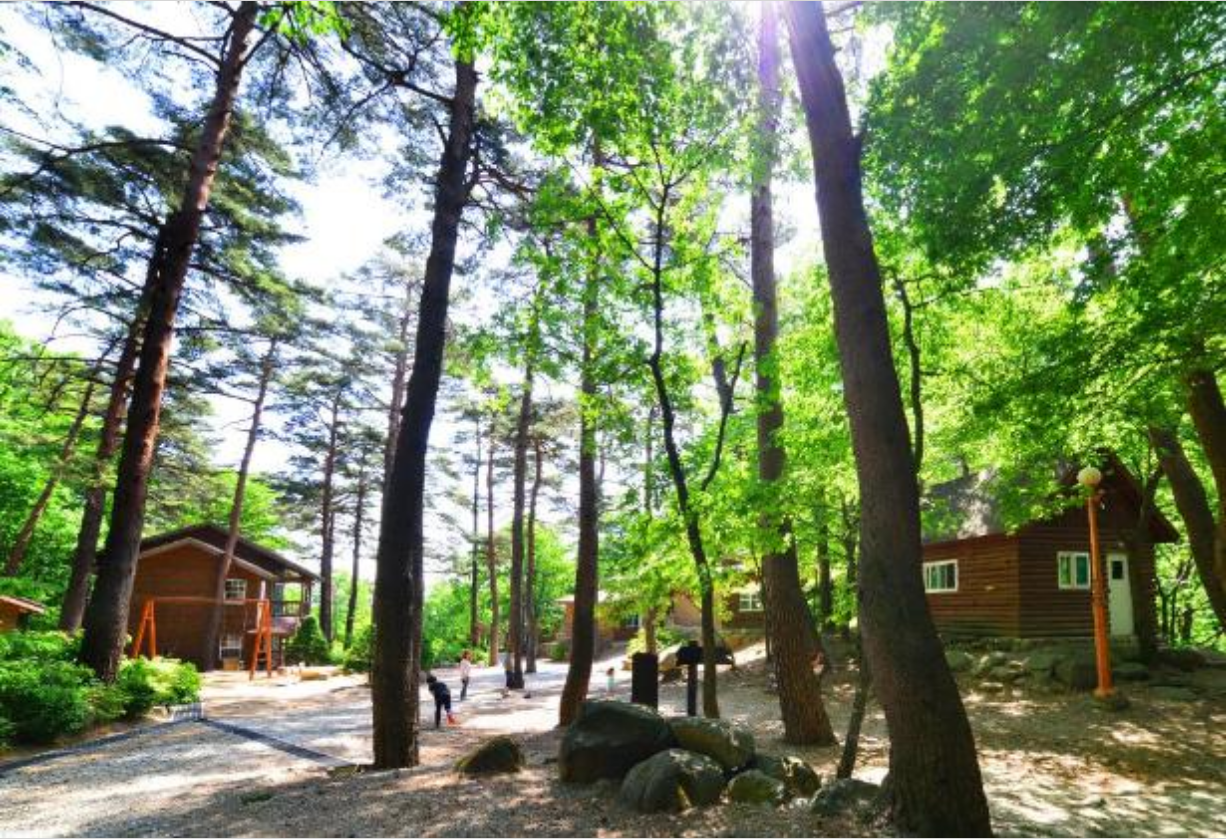 대관령-자연휴양림-전경