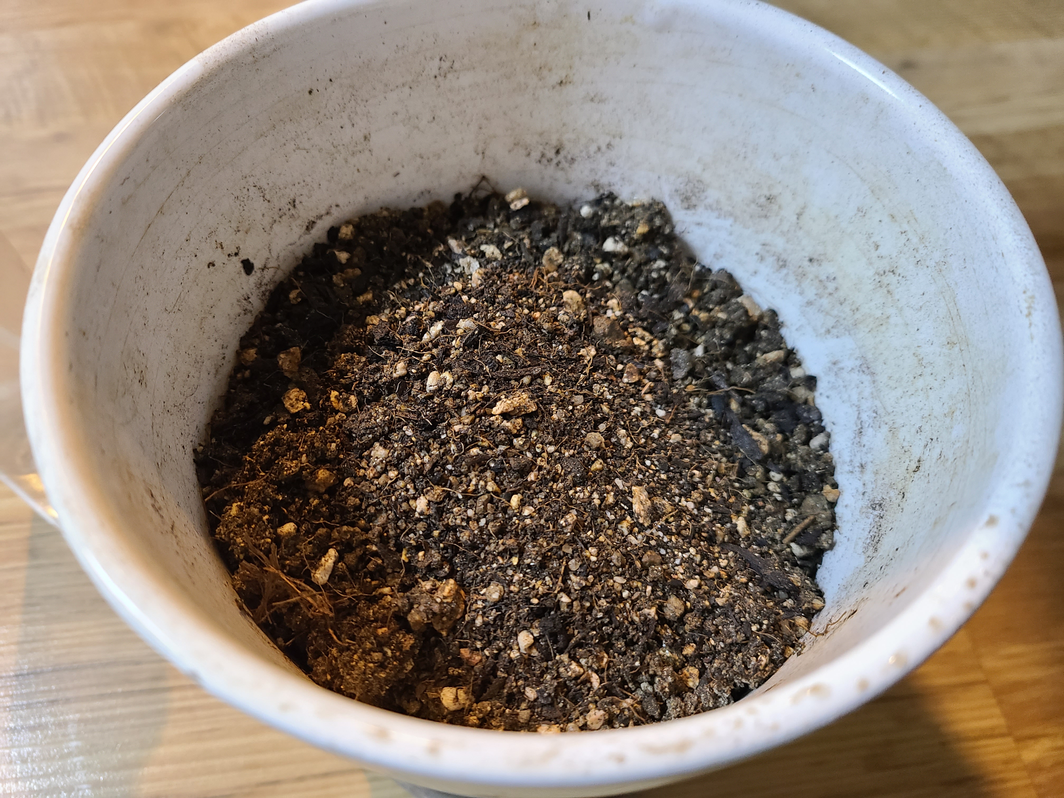 화분에 담긴 흙