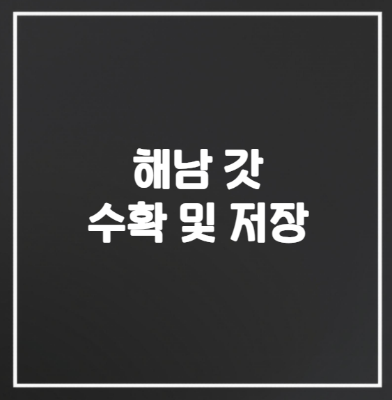 갓 수확과 저장