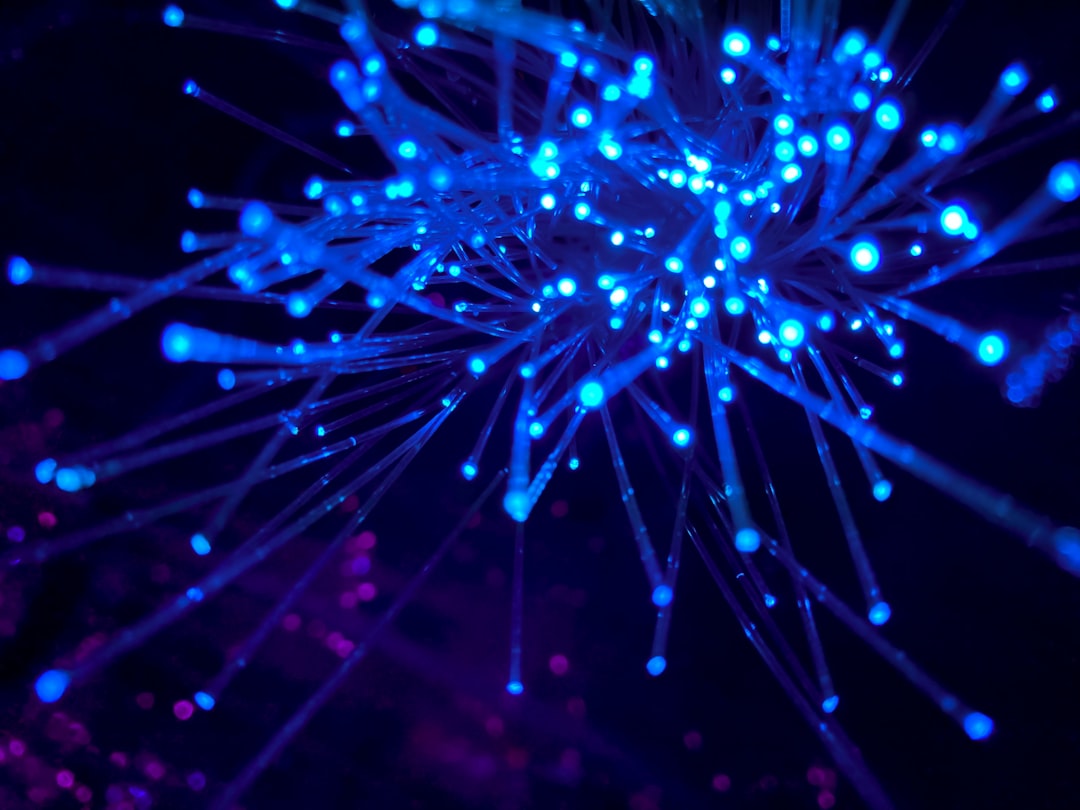 Network