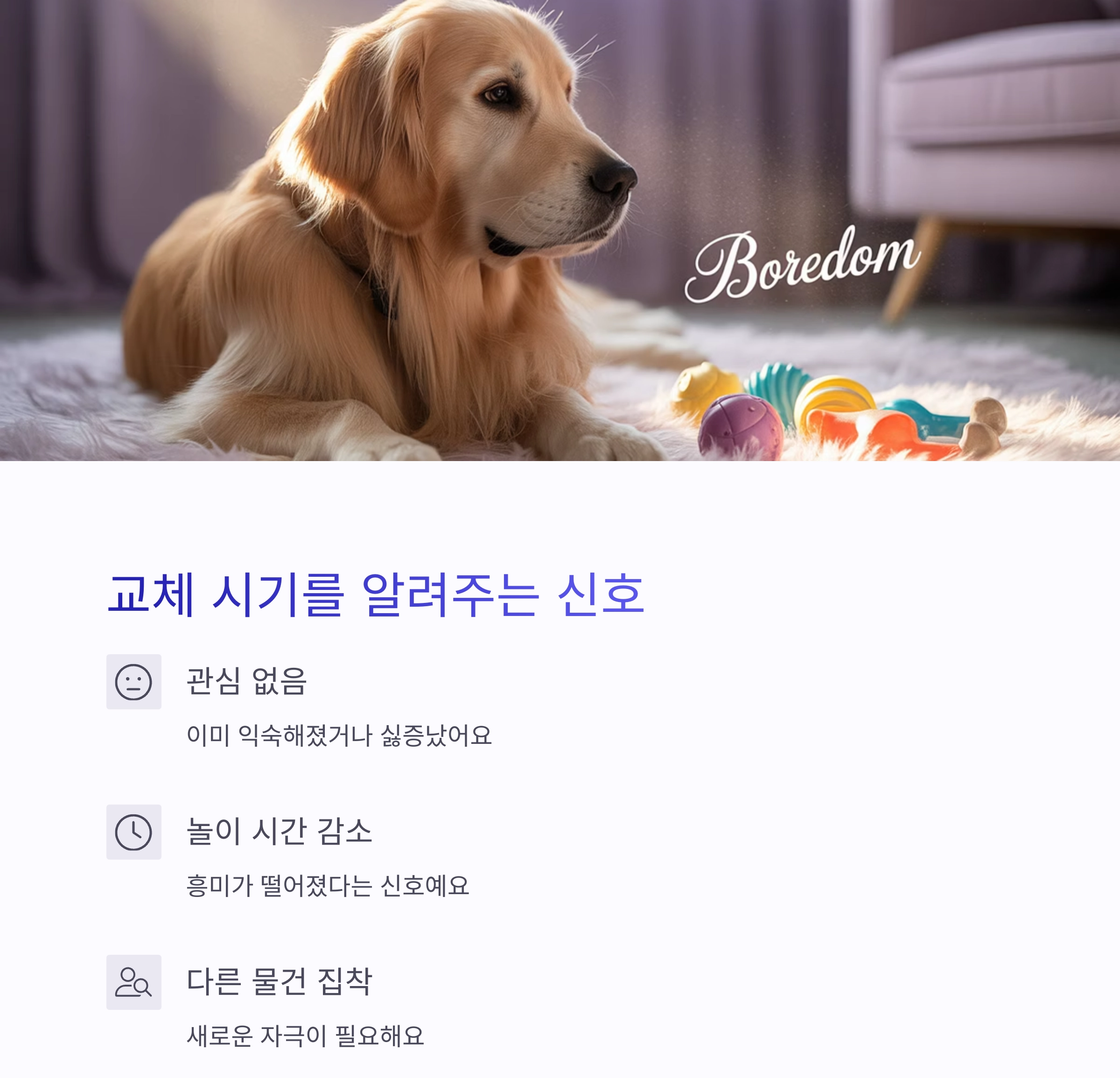 반려동물 장난감, 1주일 단위로 바꿔줘야 하는 이유