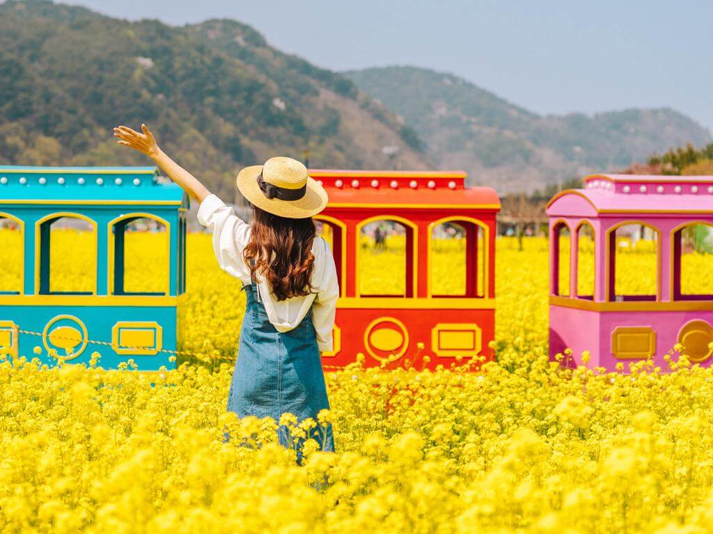 삼척맹방유채꽃축제