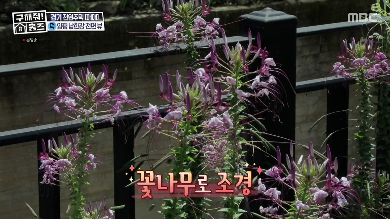 구해줘홈즈 양평군 강상면 남한강 조았단 하우스 최종선택 매물 가격 및 구조 인테리어 리모델링 소개