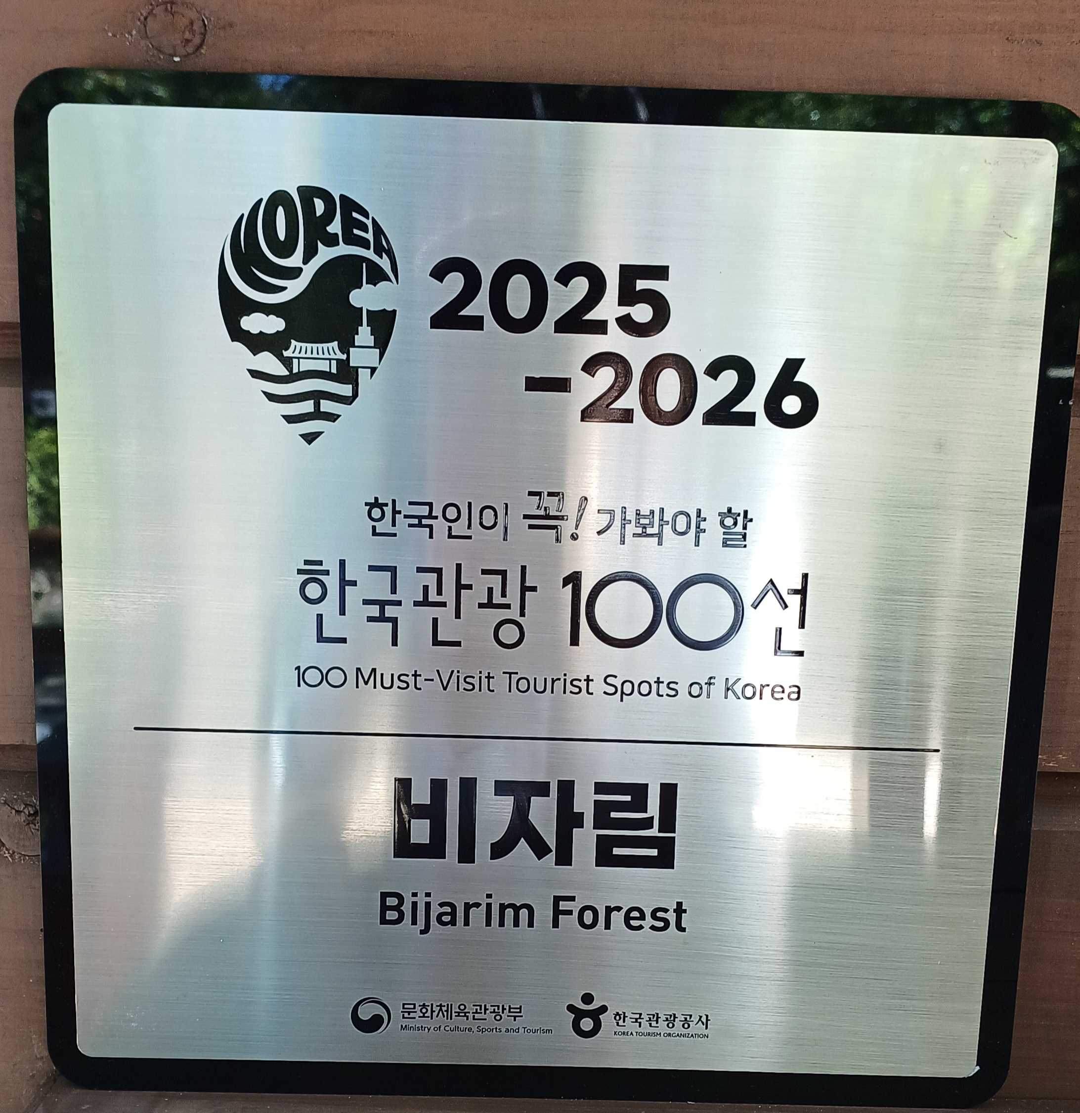 제주-비자림-후기-소요시간