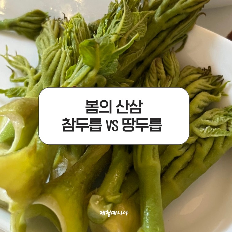 제철 음식