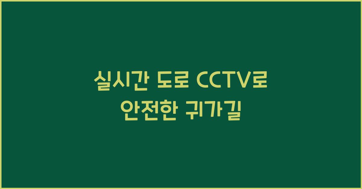 실시간 도로 cctv