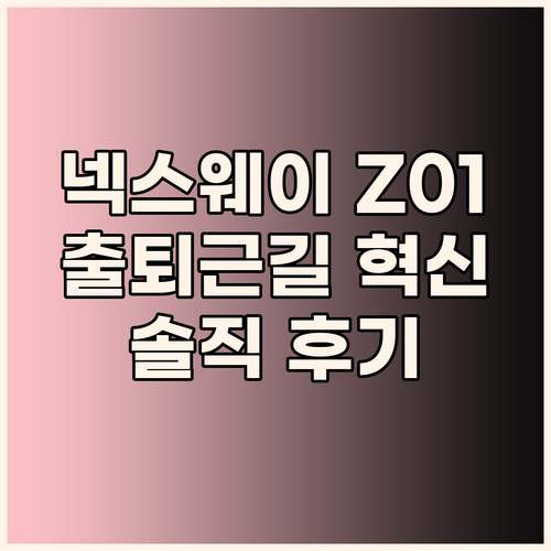 넥스웨이 Z01 전기자전거 출퇴근길을..