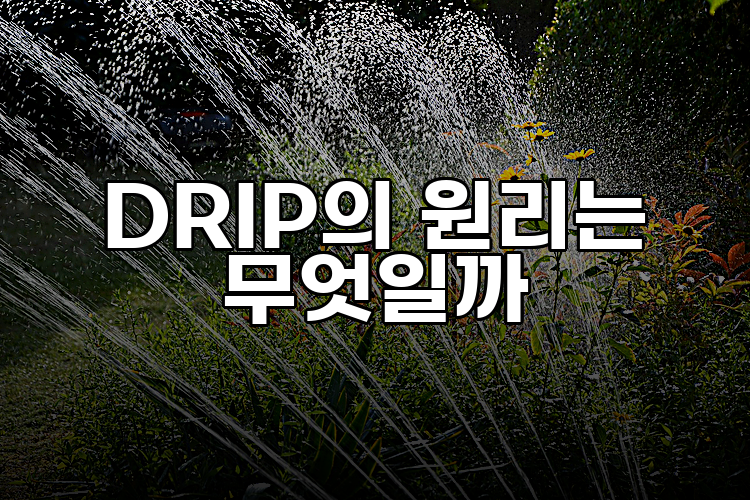 DRIP의 원리는 무엇일까
