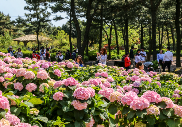 5월제주도 가볼만한곳