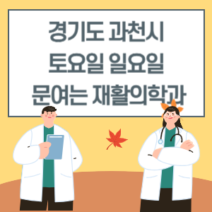 과천시 토요일 일요일 재활의학과 진료 문여는 병원 리스트