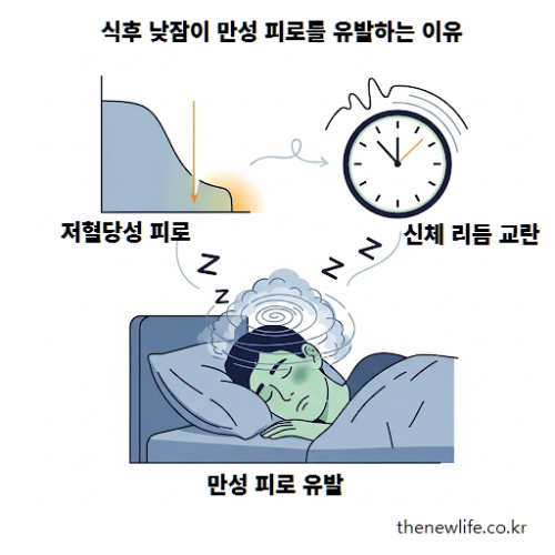 식후 낮잠이 저혈당성 피로와 생체 리듬 교란을 유발해 만성 피로로 이어지는 과정을 설명한 인포그래픽