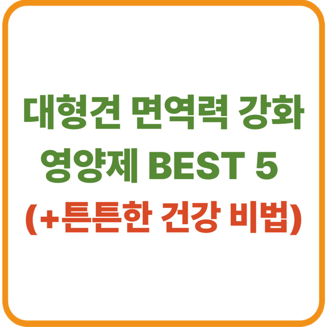 대형견 면역력 강화 영양제 BEST 5 / 튼튼한 건강 비법