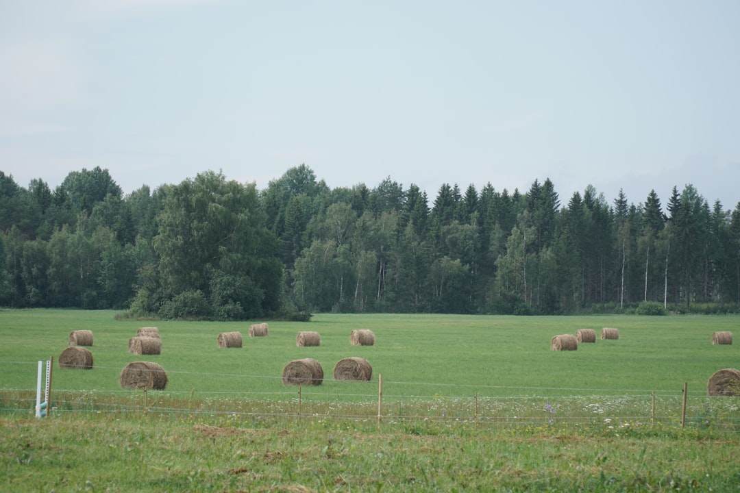 Smart Farm
