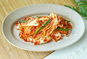 겉절이 맛있게 담그는 법 겉절이 김치 황금 레시피_39
