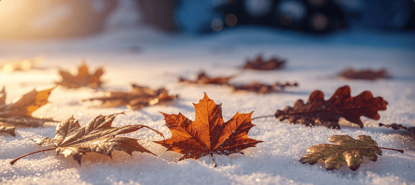 25년 12월 인사말 모음