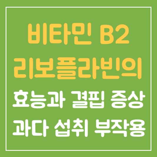 비타민 B2 리보플라빈의 효능과 결핍 증상, 과다 섭취 부작용