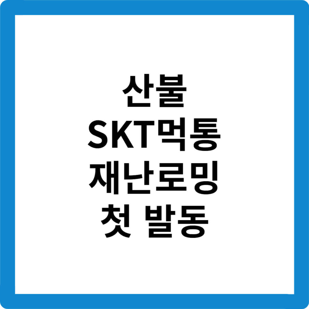 재난로밍-산불통신장애-SKT먹통-KT망전환-정부명령-2020년대책